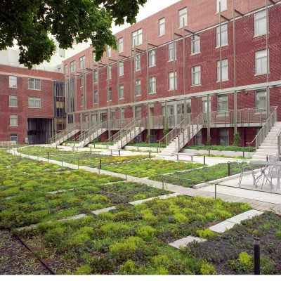 Zieleń przy akademiku w Cambridge - Richard Burck Associates, Inc. oraz Jonathan Levi Architects.