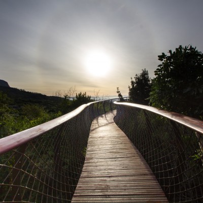 Mark Thomas & Christopher Bisset / Mark Thomas Architects, Zdjęcia: Adam Harrower