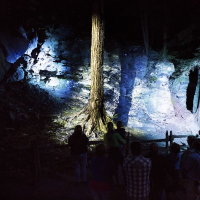 Krajobraz malowany światłem – magiczna iluminacja 