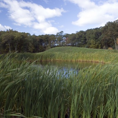 Michael Van Valkenburgh Associates, Inc., Landscape Architects