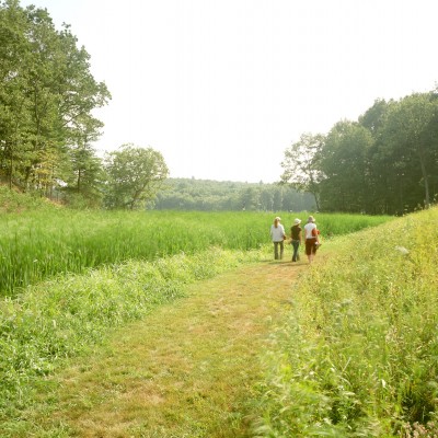 Michael Van Valkenburgh Associates, Inc., Landscape Architects